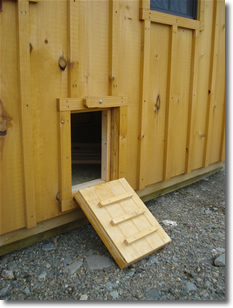 Backyard Chicken Coops For Maine And New Hampshire