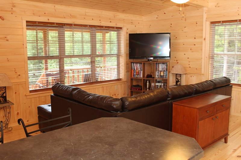 log sided home living room