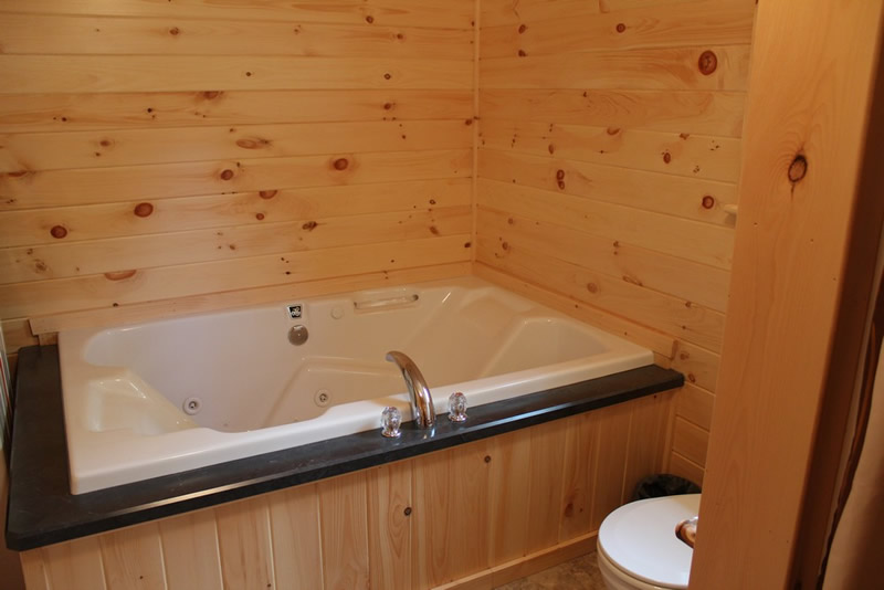 log sided home master bath