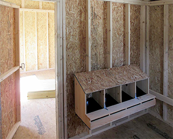 chicken Coop shed combo interior