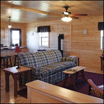 Log home living room