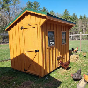 Chicken coop