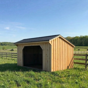 run in shed