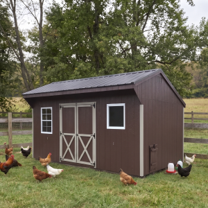 Chicken coop