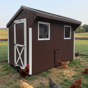 Chicken coop