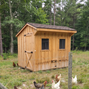 Chicken coop