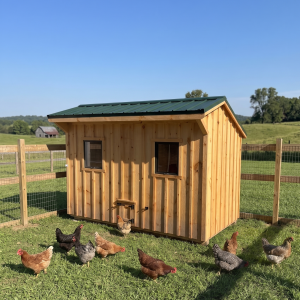 Chicken coop