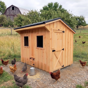 Chicken coop