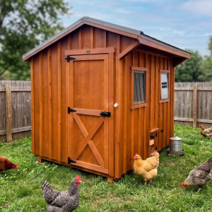 Backyard chicken coop