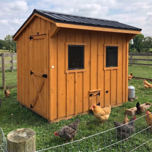 Chicken coop