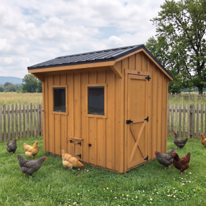 Chicken coop