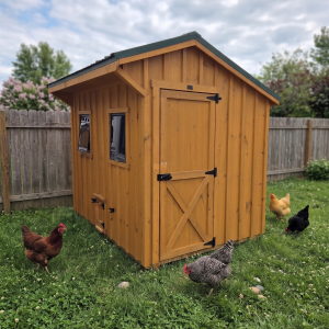 Chicken coop