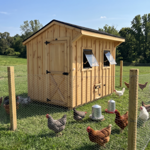 Chicken coop