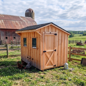 Chicken coop
