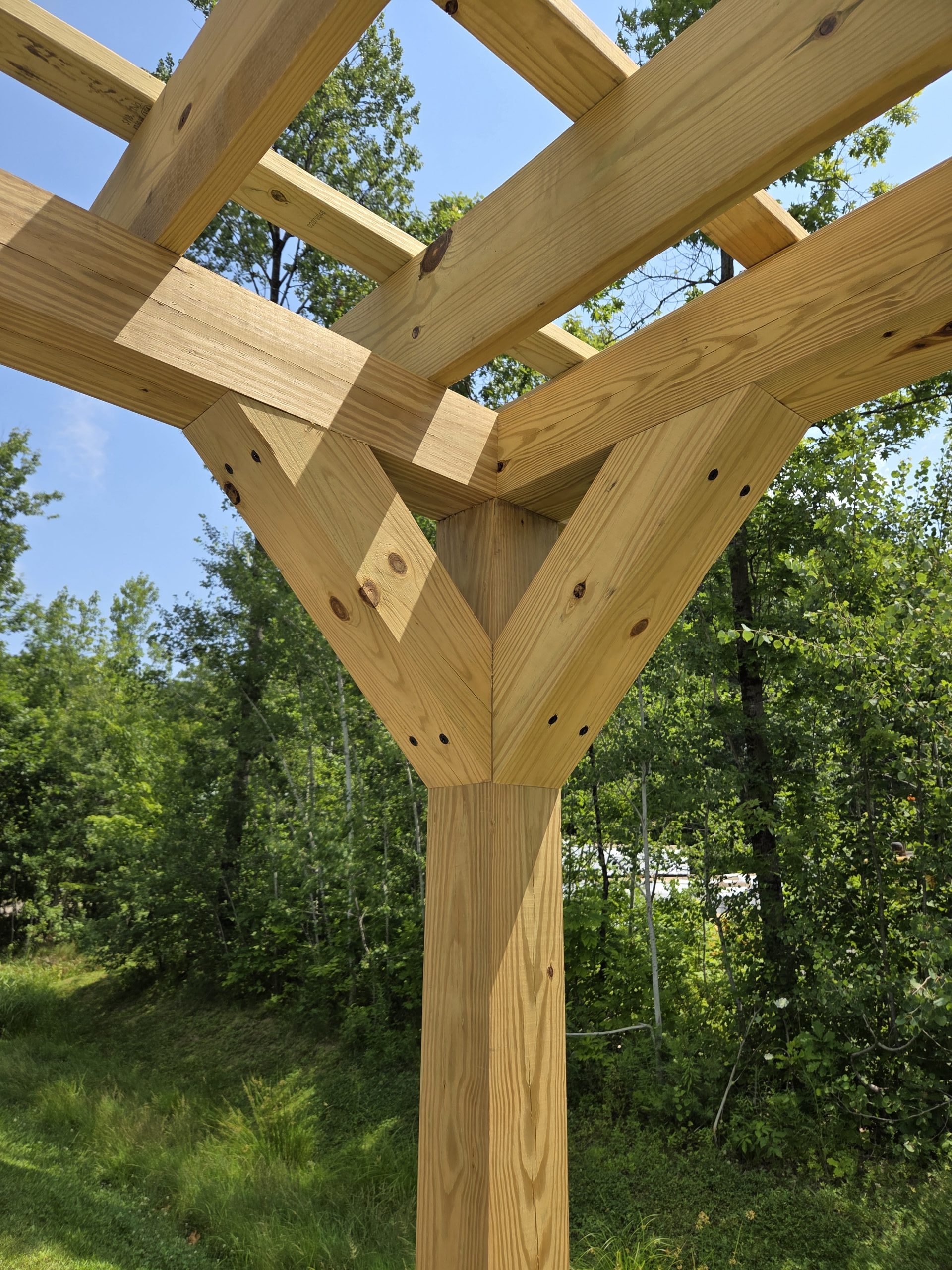 16149 Pergola 10x10 - Image 3